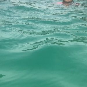 Meet your Posher, Esmeralda